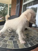 processed/8d2426cb-d99d-4b0a-9e18-941eae0fc5aa/listing/c3b53f65-c78a-470e-aed7-8dae0e65f7aa/3999ff2d-2a05-4a51-b5e1-743b3fa72684