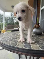 processed/8d2426cb-d99d-4b0a-9e18-941eae0fc5aa/listing/c3b53f65-c78a-470e-aed7-8dae0e65f7aa/5edaa4e2-4da9-420a-b496-811736ac31f6