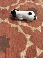 Nelson, a male English Springer Spaniel for sale in Freehold, NJ – 2 of 5