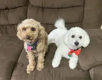 processed/8d2e8f95-c8a1-47fd-94fa-827a85a0c597/facility/5d97a222-551d-45ee-8c0c-b3d9dc80c6a3