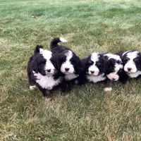 processed/8d33d1f3-0ba2-4841-a3ff-62237941e347/facility/486f2503-0494-44b7-a4cf-09a6eaf8830c