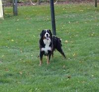 processed/8d33d1f3-0ba2-4841-a3ff-62237941e347/listing/7031f480-8c94-43fe-be15-44a93db92ac4/297c9b16-8c35-4ef3-b1b1-0aaa894b52f7