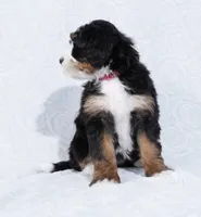 processed/8d33d1f3-0ba2-4841-a3ff-62237941e347/listing/7031f480-8c94-43fe-be15-44a93db92ac4/35d6e737-4b6c-4345-b975-5a9bee13a316