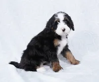 processed/8d33d1f3-0ba2-4841-a3ff-62237941e347/listing/7031f480-8c94-43fe-be15-44a93db92ac4/428b33d9-f726-4cdc-8ba8-5e4fc42542e1