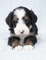 processed/8d33d1f3-0ba2-4841-a3ff-62237941e347/listing/7031f480-8c94-43fe-be15-44a93db92ac4/c5a50e69-d89b-4ff8-bd67-9102887cde71