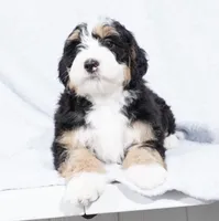 processed/8d33d1f3-0ba2-4841-a3ff-62237941e347/listing/7031f480-8c94-43fe-be15-44a93db92ac4/c87a7ab1-485f-4684-bf43-40e3ef771afb