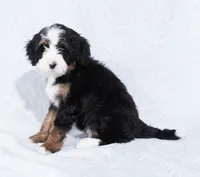 processed/8d33d1f3-0ba2-4841-a3ff-62237941e347/listing/7031f480-8c94-43fe-be15-44a93db92ac4/f0bc13c9-152a-42d2-b1cd-3c5876d82dea