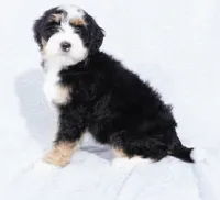 processed/8d33d1f3-0ba2-4841-a3ff-62237941e347/listing/8f53582a-377f-4f9d-bc40-c61978ecfd96/0b6e6a07-ba73-4639-a7e5-3249fd230c4c