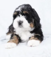 processed/8d33d1f3-0ba2-4841-a3ff-62237941e347/listing/ae7c2b0c-58c5-4efb-a8aa-36b3712197c9/039c61b9-ad0c-458d-86d9-58caf5b4c372