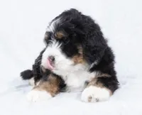 processed/8d33d1f3-0ba2-4841-a3ff-62237941e347/listing/ae7c2b0c-58c5-4efb-a8aa-36b3712197c9/ec5d1d6d-da4f-44e7-926e-f8a53a03ef4f