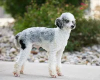 processed/8d33d1f3-0ba2-4841-a3ff-62237941e347/listing/cc606406-0244-456d-89c4-ab678e36ab33/39f565c5-a1ed-47a0-be04-dbfed0d47149