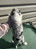 processed/8d38ccee-2d78-440c-84b4-142958fab5e0/listing/18624d7f-c75f-4631-bda7-6b481a5dd605/255179f3-ee3c-49dc-b59c-598cea255765