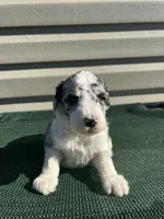 processed/8d38ccee-2d78-440c-84b4-142958fab5e0/listing/18624d7f-c75f-4631-bda7-6b481a5dd605/c254f73a-0a2e-4c66-8716-01e0c0e3a10d