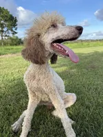 processed/8d38ccee-2d78-440c-84b4-142958fab5e0/listing/2d92e190-8f3a-479a-bdeb-8304d951c969/1f379840-464e-4dd1-a46e-2092a3cb5974