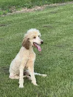 processed/8d38ccee-2d78-440c-84b4-142958fab5e0/listing/2d92e190-8f3a-479a-bdeb-8304d951c969/d9b226f3-a93d-4810-b466-bf50a971266b