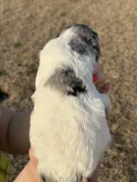 processed/8d38ccee-2d78-440c-84b4-142958fab5e0/listing/5746476a-c0ef-458e-9329-49346da791bb/0ea926df-8de8-42d3-a570-50891518e7ae