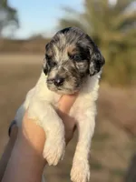 processed/8d38ccee-2d78-440c-84b4-142958fab5e0/listing/5746476a-c0ef-458e-9329-49346da791bb/0ec6eda9-a6a9-450d-9411-1556d891166d