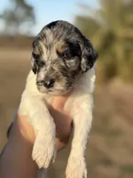 processed/8d38ccee-2d78-440c-84b4-142958fab5e0/listing/5746476a-c0ef-458e-9329-49346da791bb/8fc70de1-f716-46a3-b050-68e962c44c05