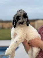 processed/8d38ccee-2d78-440c-84b4-142958fab5e0/listing/5746476a-c0ef-458e-9329-49346da791bb/97930565-1df1-478b-a14f-cb8cd74e5576