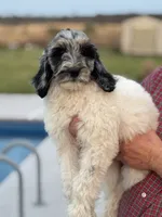 processed/8d38ccee-2d78-440c-84b4-142958fab5e0/listing/5746476a-c0ef-458e-9329-49346da791bb/ace91035-9157-4904-af99-b25b088fcfb6