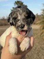 processed/8d38ccee-2d78-440c-84b4-142958fab5e0/listing/5746476a-c0ef-458e-9329-49346da791bb/afc86959-5b1e-43f9-b87e-9181565ce38e