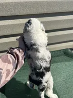 processed/8d38ccee-2d78-440c-84b4-142958fab5e0/listing/82c1e27b-e01e-4755-abf9-ae553f5e82d7/53aa88ad-3d5c-4a06-a3aa-795a188c19ac