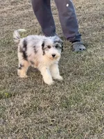 processed/8d38ccee-2d78-440c-84b4-142958fab5e0/listing/82c1e27b-e01e-4755-abf9-ae553f5e82d7/7a7ca97f-d5f7-4e87-891d-1c80a6e25f8d