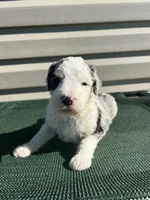 processed/8d38ccee-2d78-440c-84b4-142958fab5e0/listing/82c1e27b-e01e-4755-abf9-ae553f5e82d7/7e76c675-3d31-4fe9-95cc-71818bd8aa16