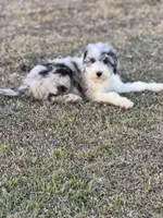 processed/8d38ccee-2d78-440c-84b4-142958fab5e0/listing/82c1e27b-e01e-4755-abf9-ae553f5e82d7/c5795302-3cc5-4ced-9362-06ed6970bc11