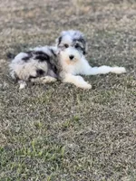 processed/8d38ccee-2d78-440c-84b4-142958fab5e0/listing/82c1e27b-e01e-4755-abf9-ae553f5e82d7/f6548647-6575-4d73-aa86-96bfc8508fc8