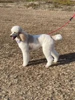 processed/8d38ccee-2d78-440c-84b4-142958fab5e0/listing/9534a69d-0f8a-46e0-9a18-8cadd19be145/91d2a2b1-4582-45ce-a43e-6fda53b33c27