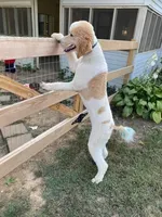 processed/8d38ccee-2d78-440c-84b4-142958fab5e0/listing/9534a69d-0f8a-46e0-9a18-8cadd19be145/bd0bd783-ac92-4761-a583-78ac6c7b264b