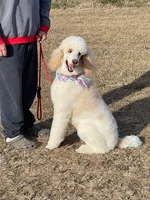 processed/8d38ccee-2d78-440c-84b4-142958fab5e0/listing/9534a69d-0f8a-46e0-9a18-8cadd19be145/c8559723-5b5b-46cd-988c-1044fad4ec67