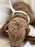 processed/8d38ccee-2d78-440c-84b4-142958fab5e0/listing/a4ca04b8-a887-47a3-9187-a120f84c16e3/a5bd4e33-7de6-4c23-9d78-ec30a505b4e9