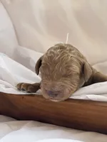 processed/8d38ccee-2d78-440c-84b4-142958fab5e0/listing/a4ca04b8-a887-47a3-9187-a120f84c16e3/bf49c5dc-fca2-492a-83d2-9a8eee913662