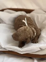 processed/8d38ccee-2d78-440c-84b4-142958fab5e0/listing/a4ca04b8-a887-47a3-9187-a120f84c16e3/df00323d-4d84-4a90-8245-1de5ece70481