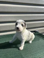 processed/8d38ccee-2d78-440c-84b4-142958fab5e0/listing/ccac8660-2d57-4a81-9a30-20e974b71d3a/2605081f-1a5b-404e-84f8-f4b47c2c5bd0