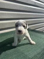 processed/8d38ccee-2d78-440c-84b4-142958fab5e0/listing/ccac8660-2d57-4a81-9a30-20e974b71d3a/d8626e0f-721e-4ed0-84a5-8acfc061c3a2