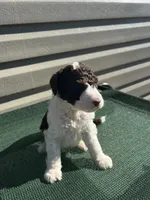 processed/8d38ccee-2d78-440c-84b4-142958fab5e0/listing/e9c05eeb-099b-45f4-811f-d84d9803176c/7485f51e-ab32-45f4-8ea3-9e23a17dc32b