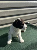 processed/8d38ccee-2d78-440c-84b4-142958fab5e0/listing/e9c05eeb-099b-45f4-811f-d84d9803176c/a874df79-38e7-4971-981f-420834be4c82