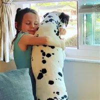 Register Black, a male Dalmatian for sale in Hattiesburg, MS – Photo 9 of 9