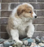 processed/8d476568-9207-449e-85af-b084af8219c3/listing/8a94141f-33a7-4c5e-a99a-59096dbb25cd/21bcec68-1f96-44d0-a3cb-01e37d95d1ec