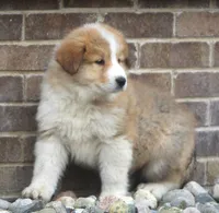 processed/8d476568-9207-449e-85af-b084af8219c3/listing/8a94141f-33a7-4c5e-a99a-59096dbb25cd/2602b427-2525-45e9-aedf-07af4e18eb90