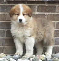 processed/8d476568-9207-449e-85af-b084af8219c3/listing/8a94141f-33a7-4c5e-a99a-59096dbb25cd/2883591f-bb53-4d23-aa9a-3dad4e6bfbbd