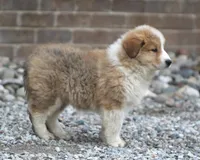 processed/8d476568-9207-449e-85af-b084af8219c3/listing/8a94141f-33a7-4c5e-a99a-59096dbb25cd/5716c7ef-f536-4ae7-88e4-c5290f0b8692