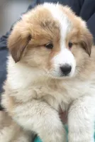 processed/8d476568-9207-449e-85af-b084af8219c3/listing/8a94141f-33a7-4c5e-a99a-59096dbb25cd/a5dba3f2-8ece-4dea-b69c-1f5feb3bb026