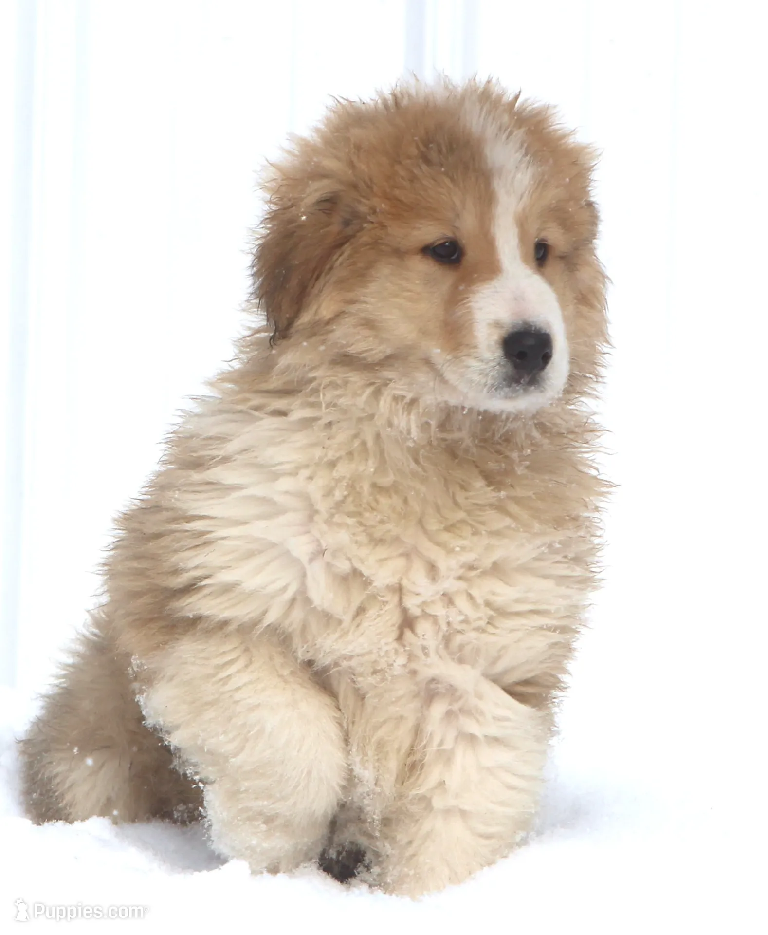 processed/8d476568-9207-449e-85af-b084af8219c3/listing/8a94141f-33a7-4c5e-a99a-59096dbb25cd/b722f861-bca7-408a-bac3-15d1c216c80f