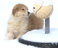 processed/8d476568-9207-449e-85af-b084af8219c3/listing/da13be77-bc22-40af-8dea-8f3442a150e6/8e439509-bc83-435b-84ef-60ebb788fa0e