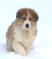 processed/8d476568-9207-449e-85af-b084af8219c3/listing/da13be77-bc22-40af-8dea-8f3442a150e6/b828f800-be79-425d-96a2-142dd9e82f32