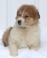 processed/8d476568-9207-449e-85af-b084af8219c3/listing/da13be77-bc22-40af-8dea-8f3442a150e6/be02b751-2a3f-4934-a3ba-63daadc227c4